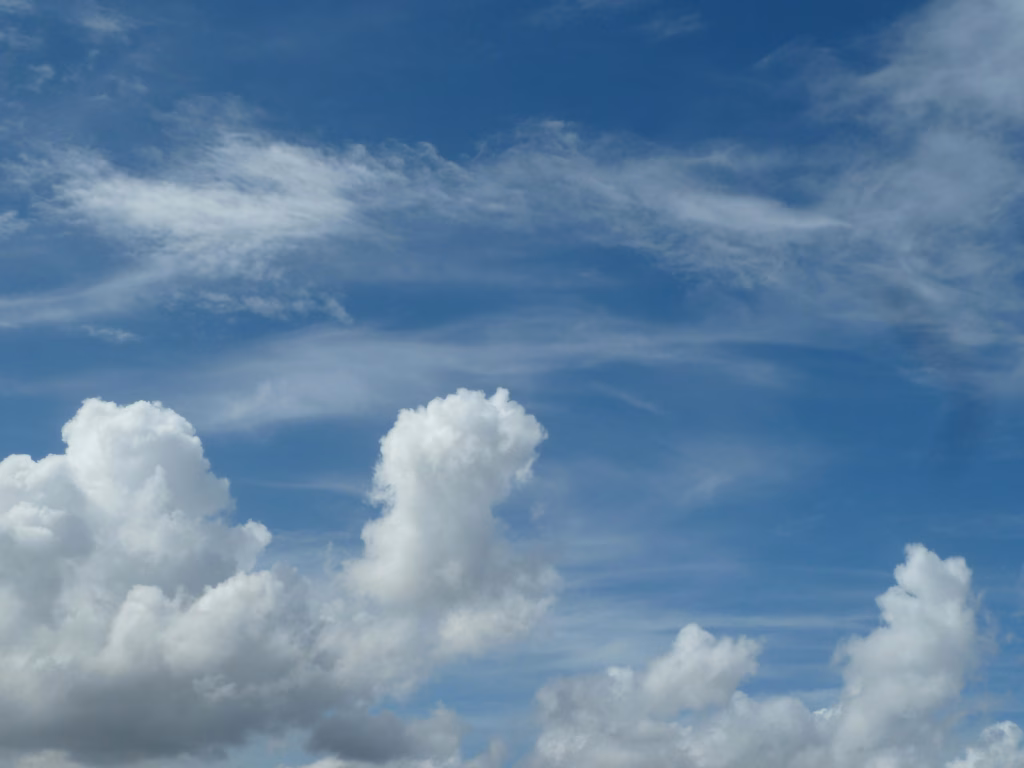 Pexels gi gi 1289764006 31742166 (1)